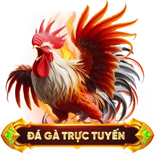 đá gà trực tuyến LIKE88